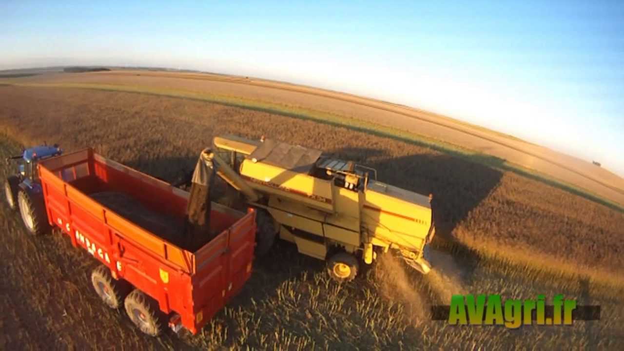 CASE IH 1640 et NH TX34 à la moisson du colza en 2013