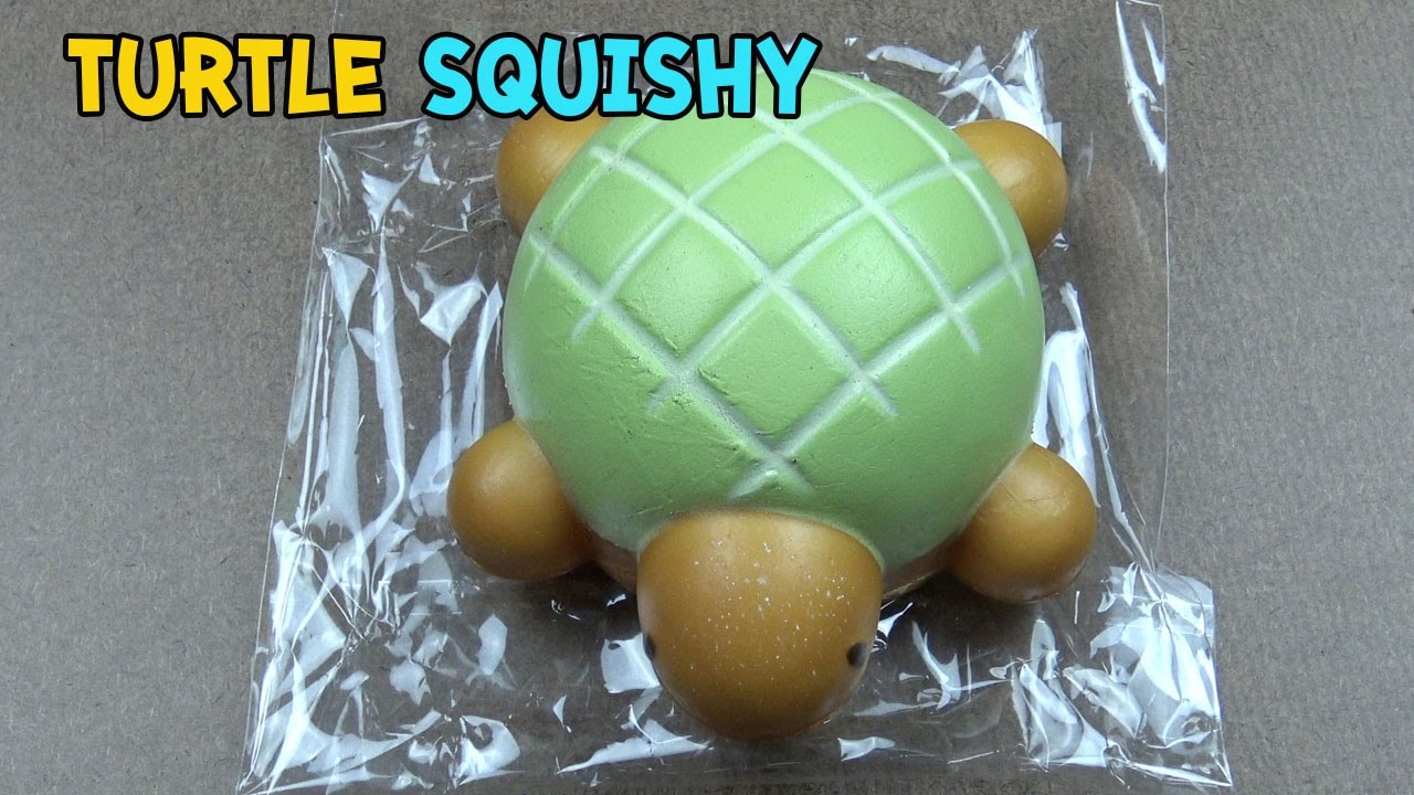 Turtle Squishy | Creative Yoko | Mother Garden