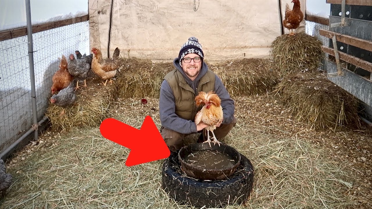 This will Make our Chickens so HAPPY!  (DIY Chicken Waterer That wont freeze without Electricity)
