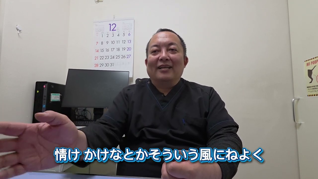 2026年の抱負について【キャンベル動物病院】