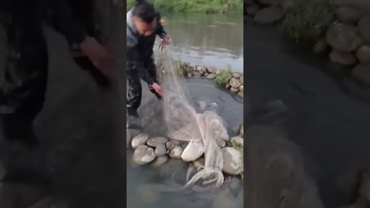 Greatest Net Fishing Best video,Amazing fisherman skills 