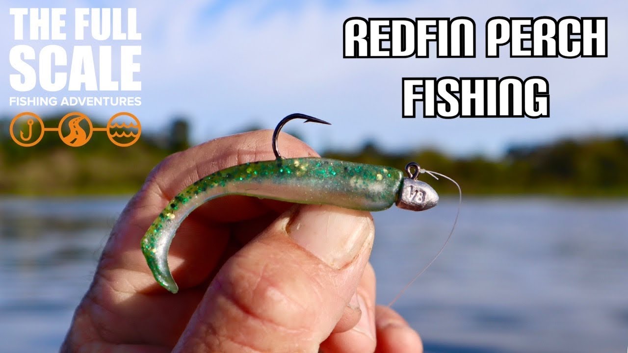Fishing For Redfin Perch | The Full Scale