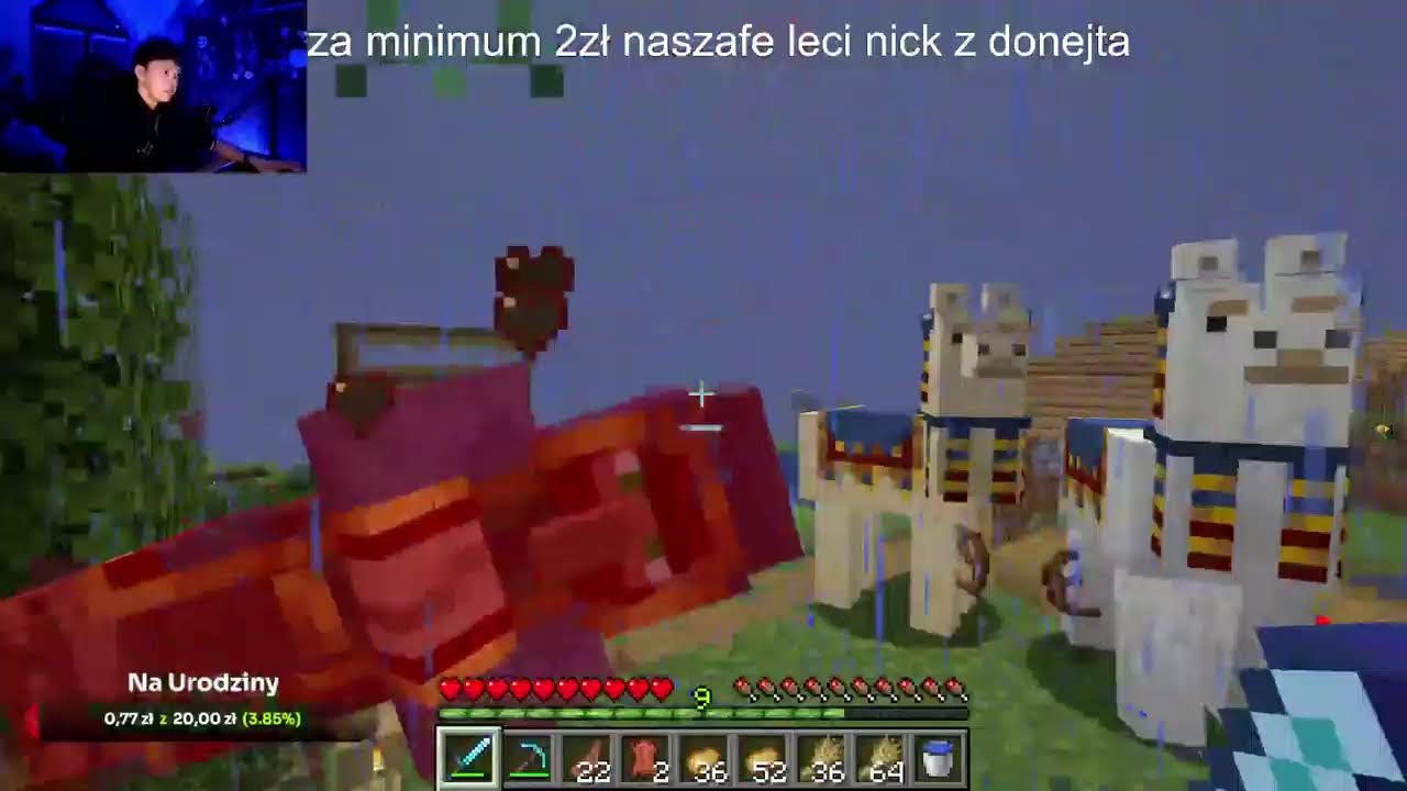 urodzinowy stream