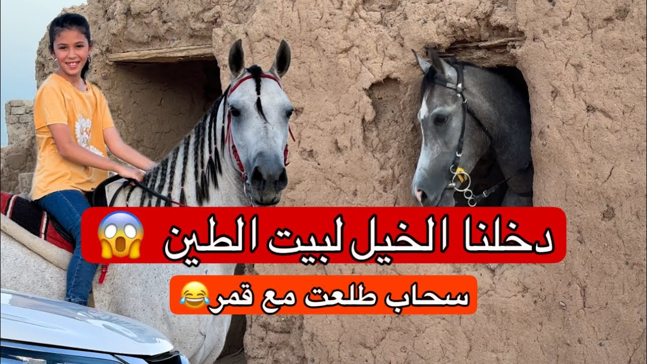 تحدي ندخل بيت الطين ونطلع سحاب مع قمرا #جود #سعد #اكسبلور #خياله #horse #حصان
