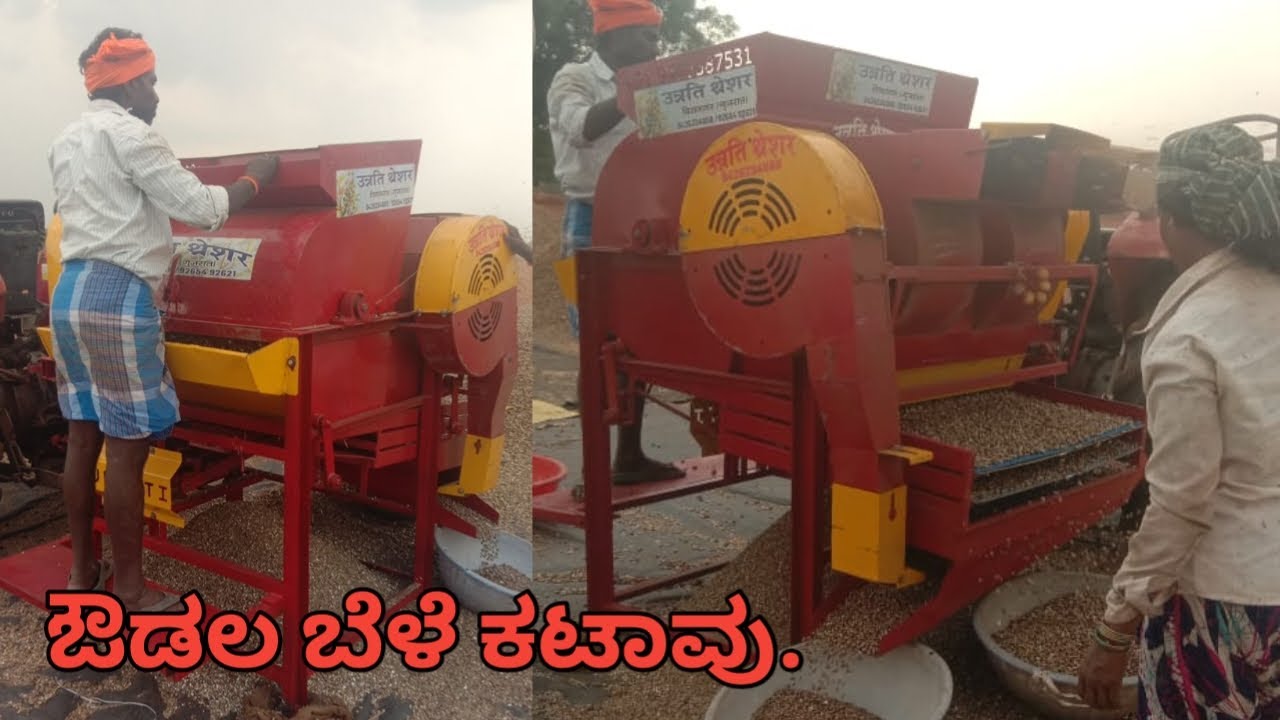 ಔಡಲ ಬೆಳೆದ ರೈತನ ಖುಷಿಯ ದಿನ |ಒಂದು ಎಕರೆ 15-20 ಕ್ವಿಂಟಾಲ್ | ಔಡಲ ಕಟಾವು ಮಾಡುವ ಮೆಷಿನ್ ,|