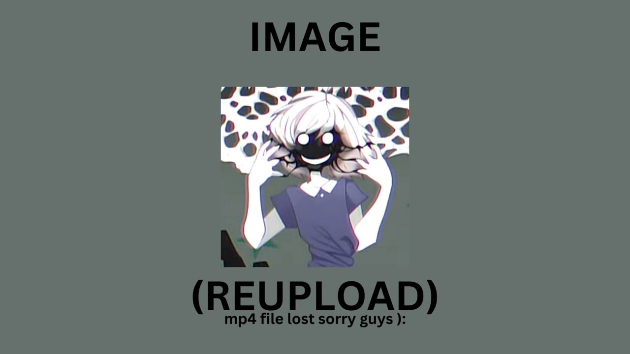 IMAGE_REUPLOAD.mp4