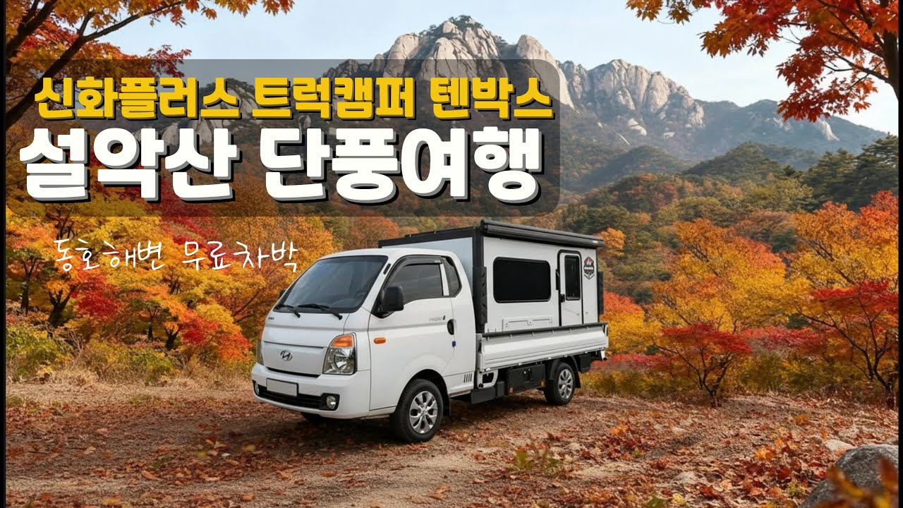 설악산 단풍/동호해변 무료차박지/속초 여행(신화플러스 트럭캠퍼 텐박스)