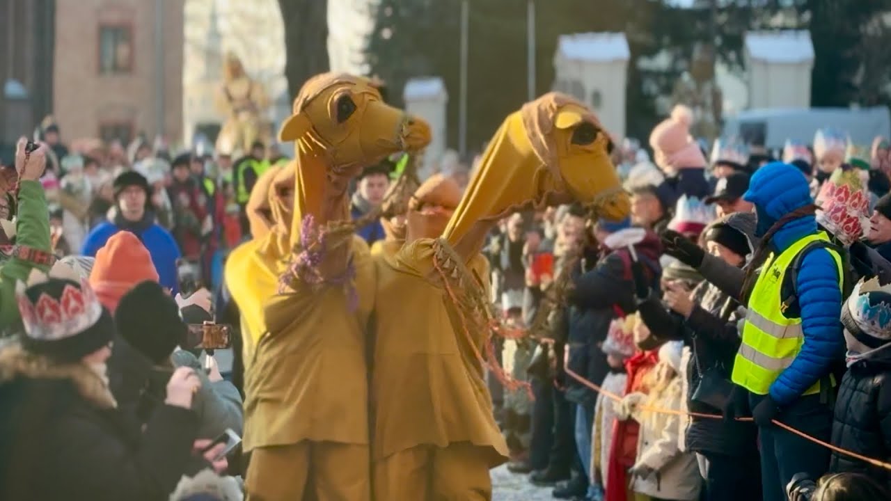 Wielbłądy w Orszaku Trzech Króli w Poznaniu 🐪👑