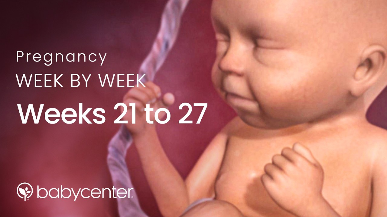 Fetal development: Weeks 21 to 27