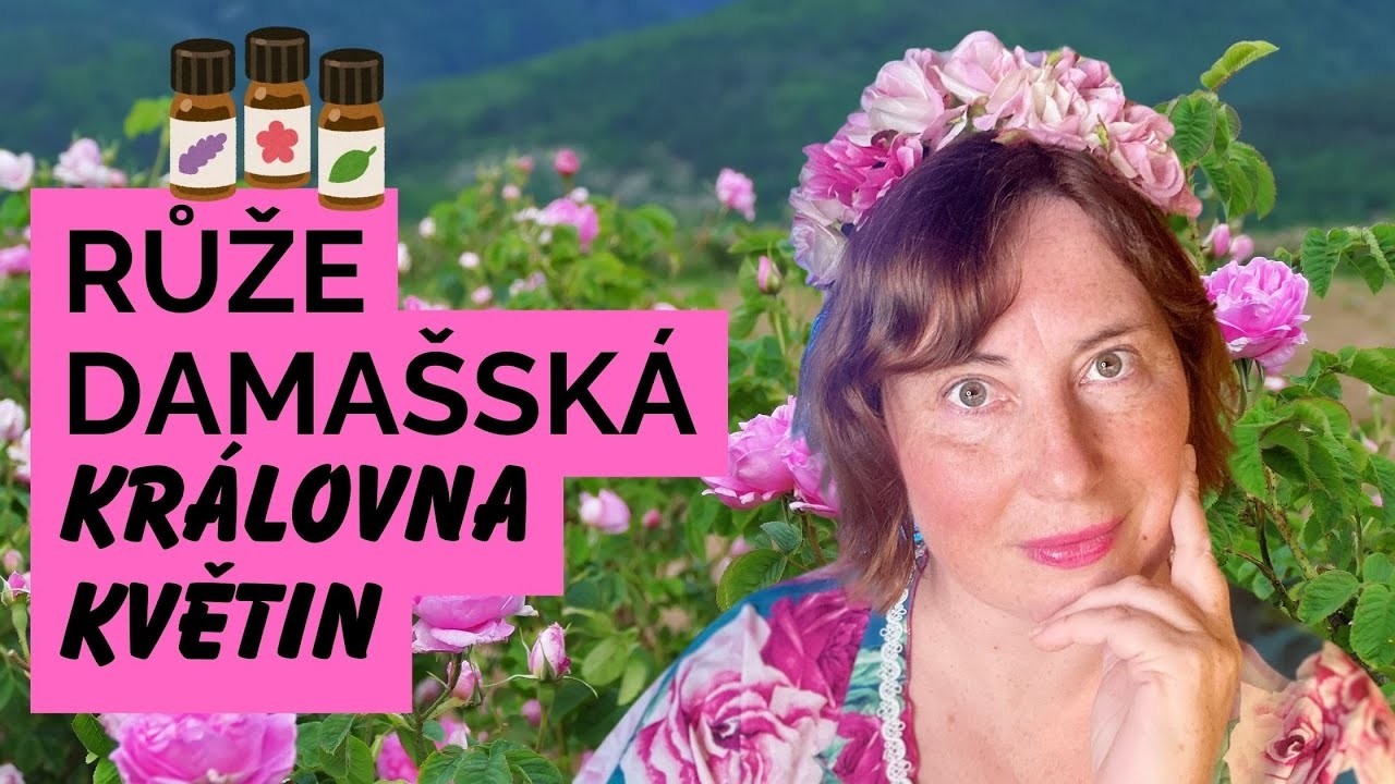 PRO ŽENY: Esenciální olej z růže damašské: láska, klid, srdce 💗 #aromaterapie