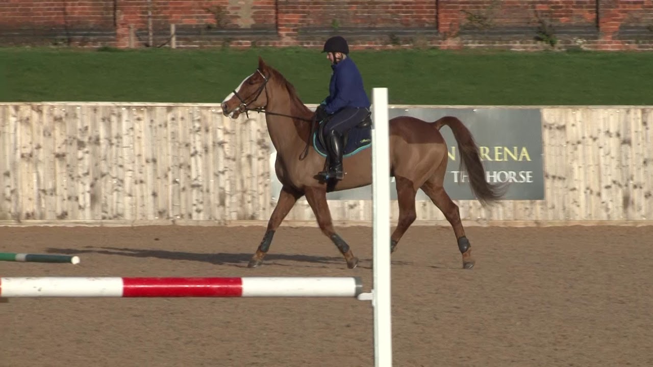 British Showjumping - Training for those returning to Affiliated competition  - Part 2