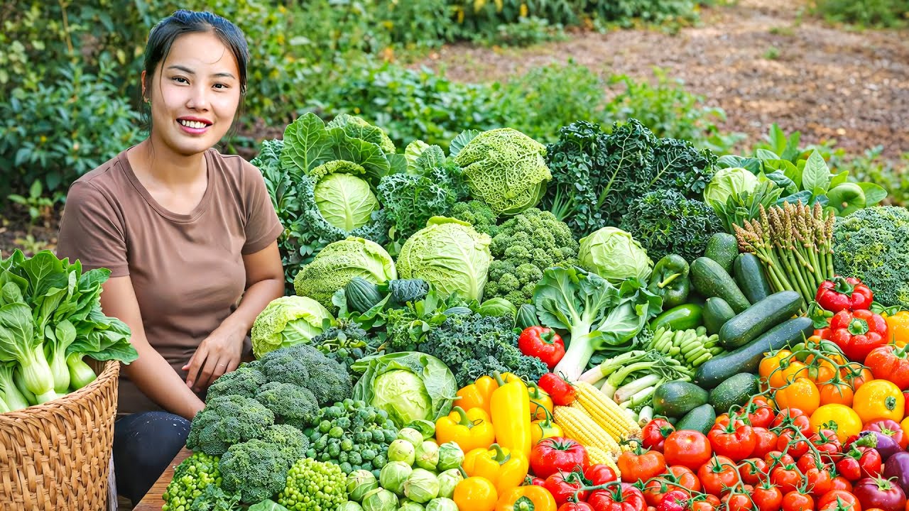 Harvesting 1500kg+ fresh bok choy & giant kohlrabi in home vegetable garden to sell at the market