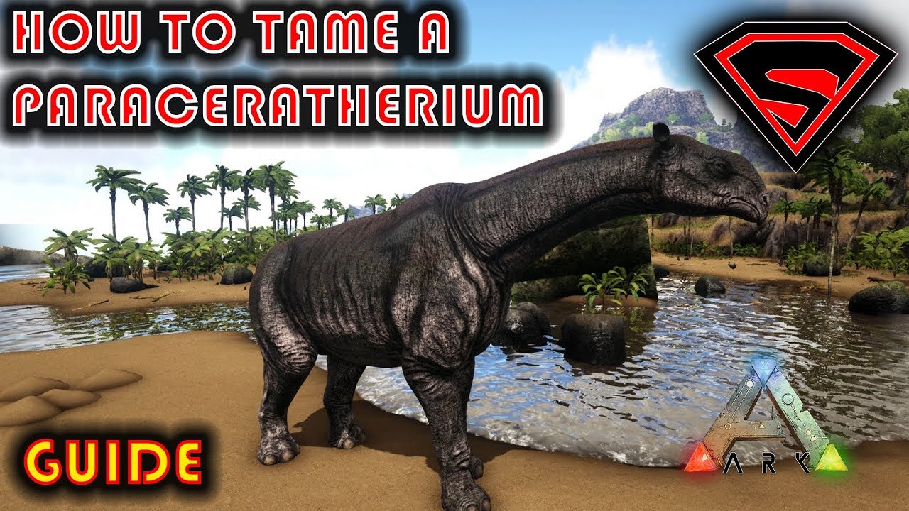 ARK HOW TO TAME A PARACERATHERIUM 2020 - EVERYTHING YOU NEED TO KNOW ABOUT TAMING A PARACERATHERIUM