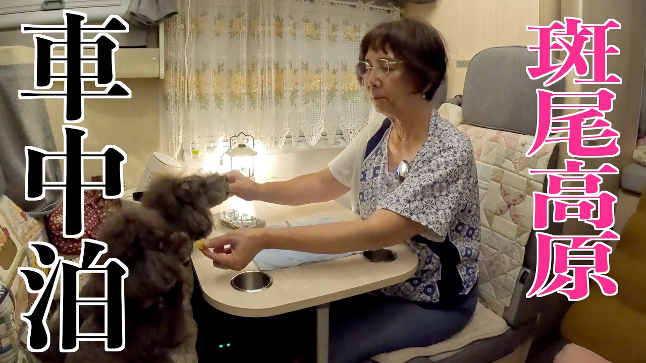 【大型キャンピングカーひとり旅】私がホテルに泊まらない理由｜斑尾高原で犬と楽しむ失敗だらけのキャンプ🍠🐶