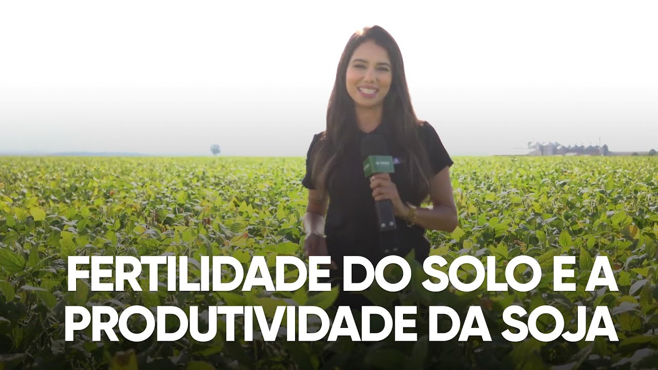 MANEJO E PRODUTIVIDADE DE SOJA - PROGRAMA #01 - AGRO EM FOCO TV DIGITAL - 11/02/21