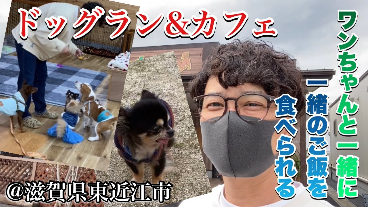 ワンちゃんと一緒に同じご飯を食べられるカフェ【ドッグラン＆カフェwithわんっ！】　しゃせぶら＃26