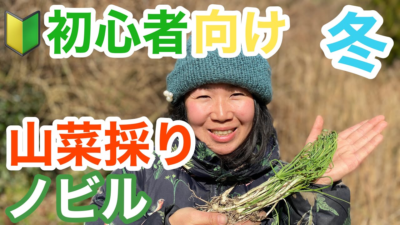 【山菜】のびると毒草の見分け方/激ウマレシピ