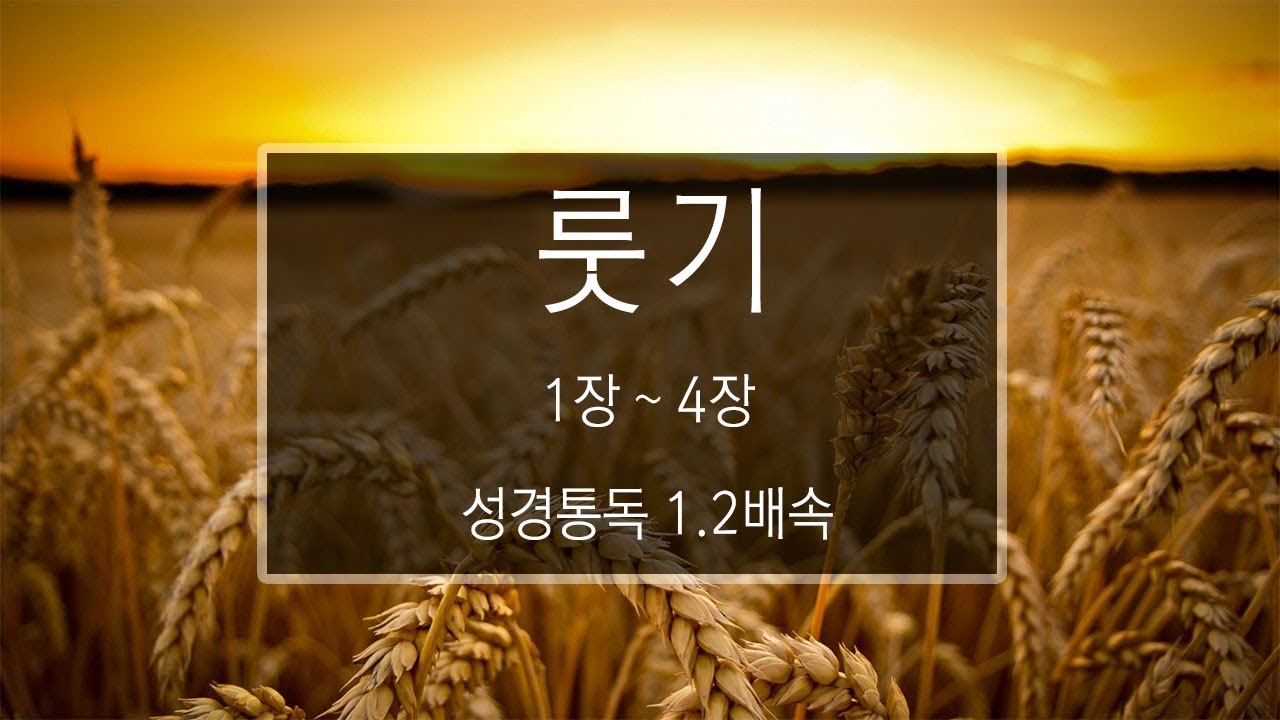 성경 읽기: 룻기 1장 - 4장