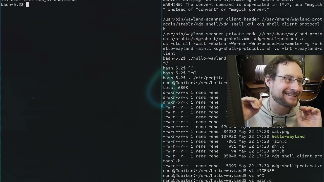 Writing a Wayland client from scratch! How hard can it be? [minimal native Application]