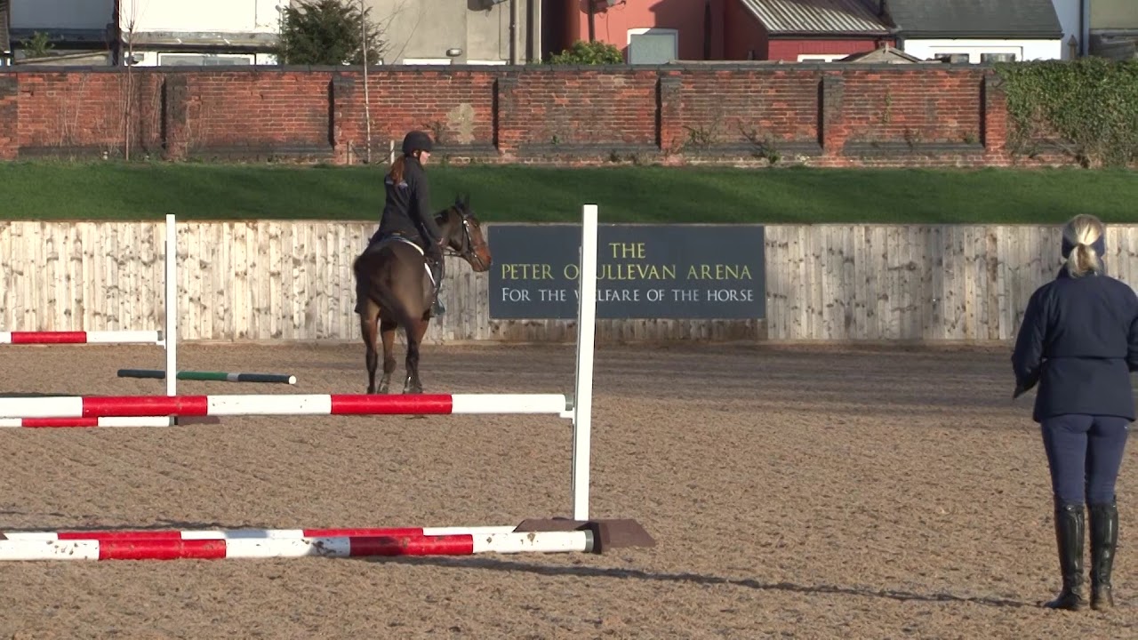 British Showjumping Training - Retraining of Racehorses Part 2