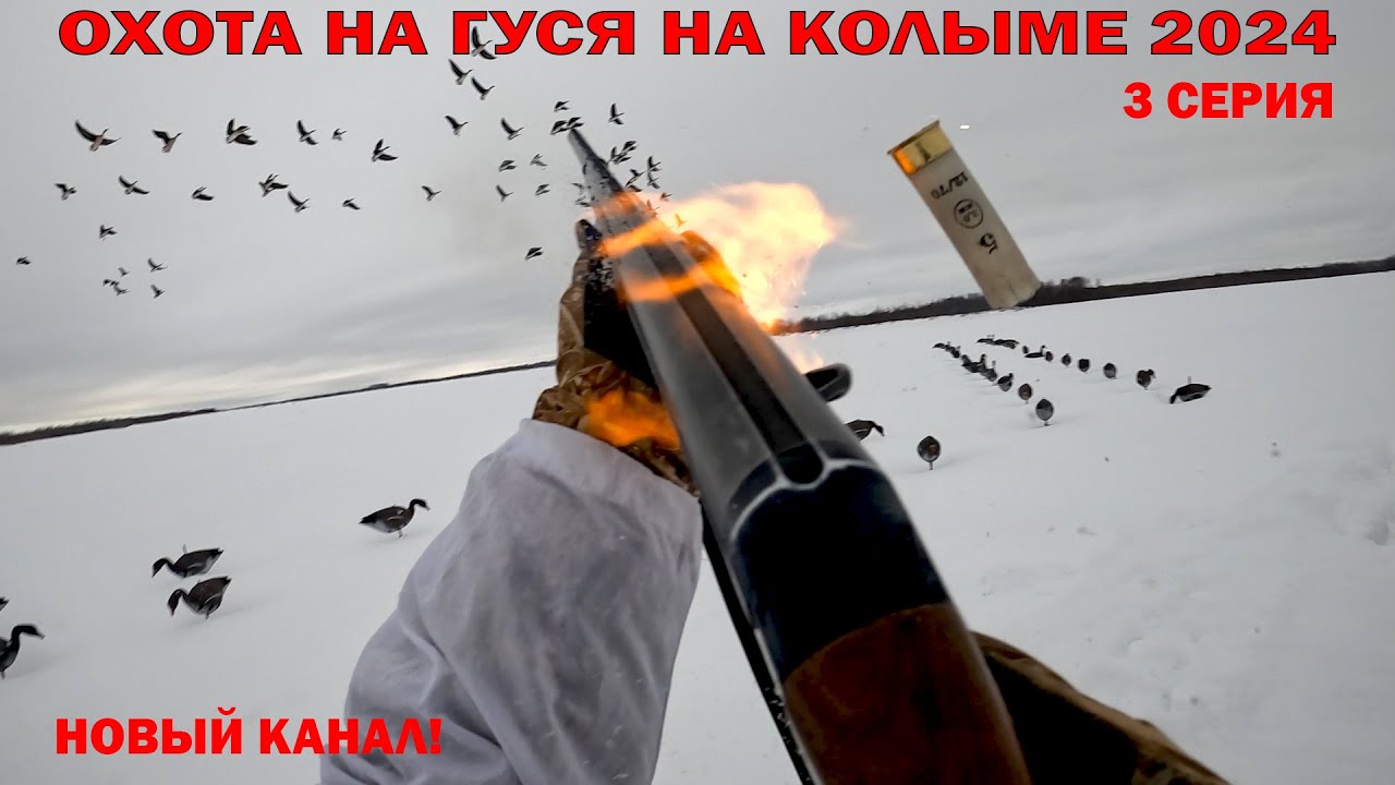ОХОТА НА ГУСЯ НА КОЛЫМЕ 2024. 3 ЧАСТЬ. GOOSE HUNTING IN SIBERIA 2024. YAKUTIA