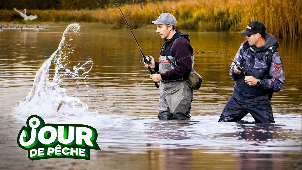Pêche du bord en hiver : les brochets passent à table !!!