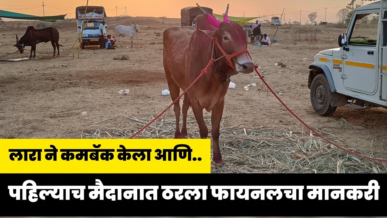 लारा ठरला छत्रपती उदयनराजे केसरी मैदानातील फायनलचा मानकरी..!