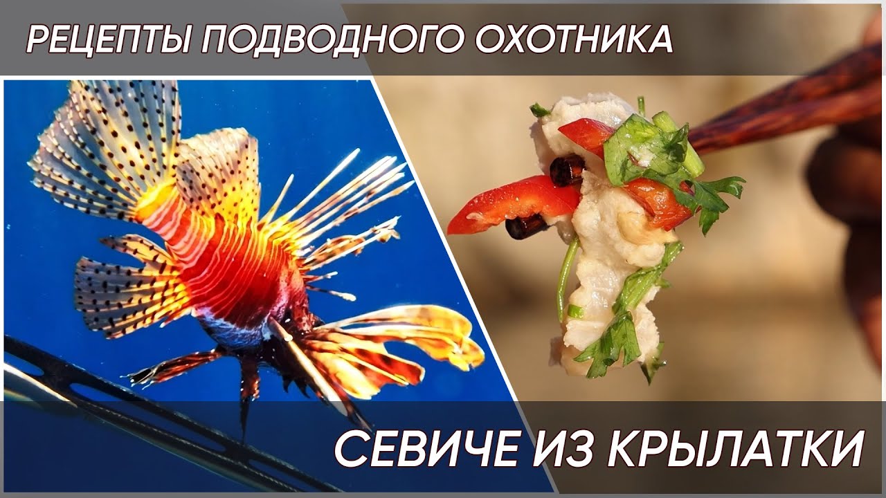 🐟Подводная охота в Турции. Стреляем и готовим крылатку вместе с ApneaPro.