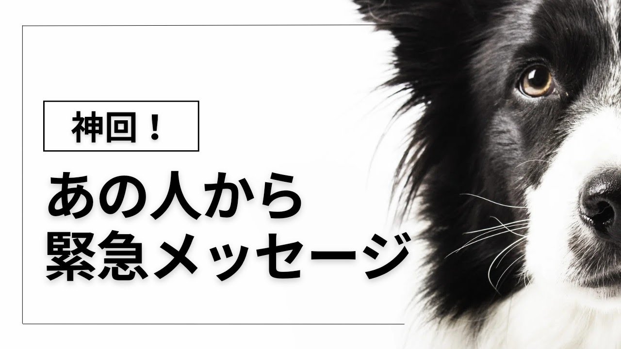 【神回降臨🙏】❤️あの人から緊急メッセージ📢
