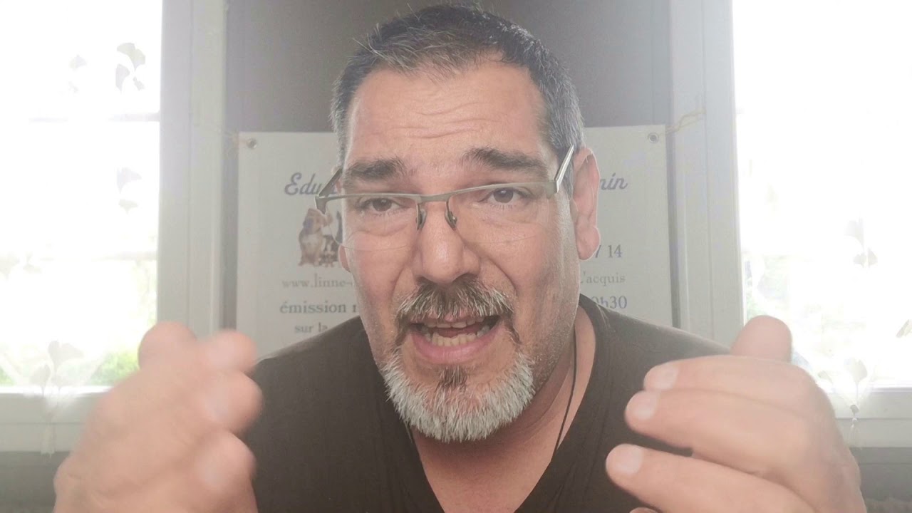 pourquoi il ne faut pas laisser la gamelle