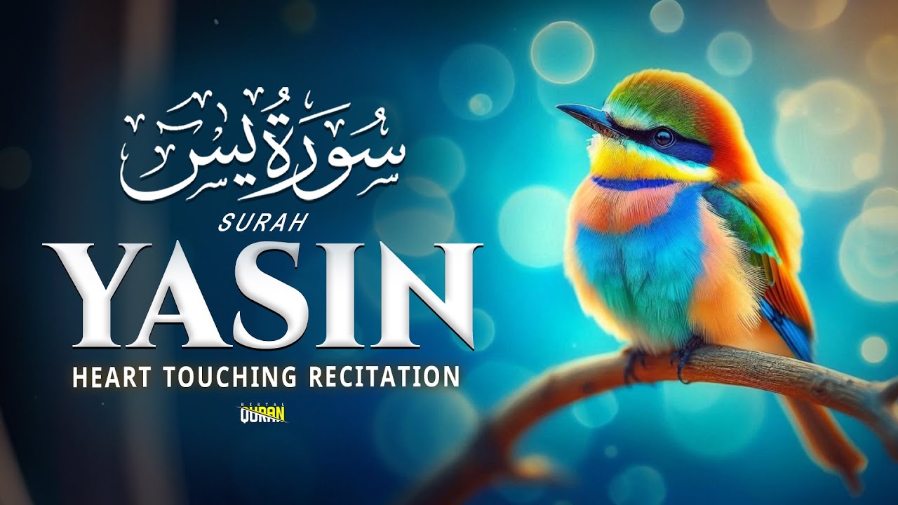 Surah Yaseen سورة يس | Heart Melting Quran Recitation With Gentle Emotional Voice