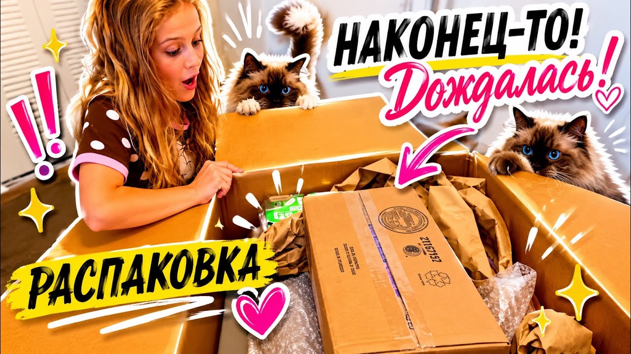 США Влог Наконец-то! Дождалась! Семейный Влог USA VLOG