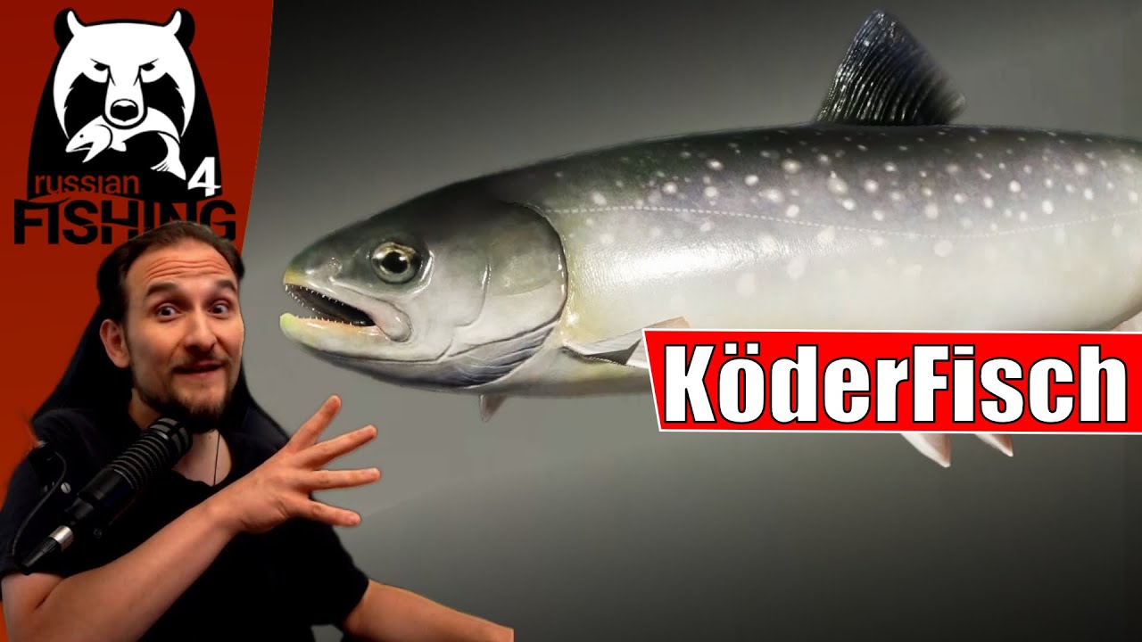 Russian Fishing 4 - Ladogasee - Ludoga- Bach- und Klotzsaibling auf Köderfisch