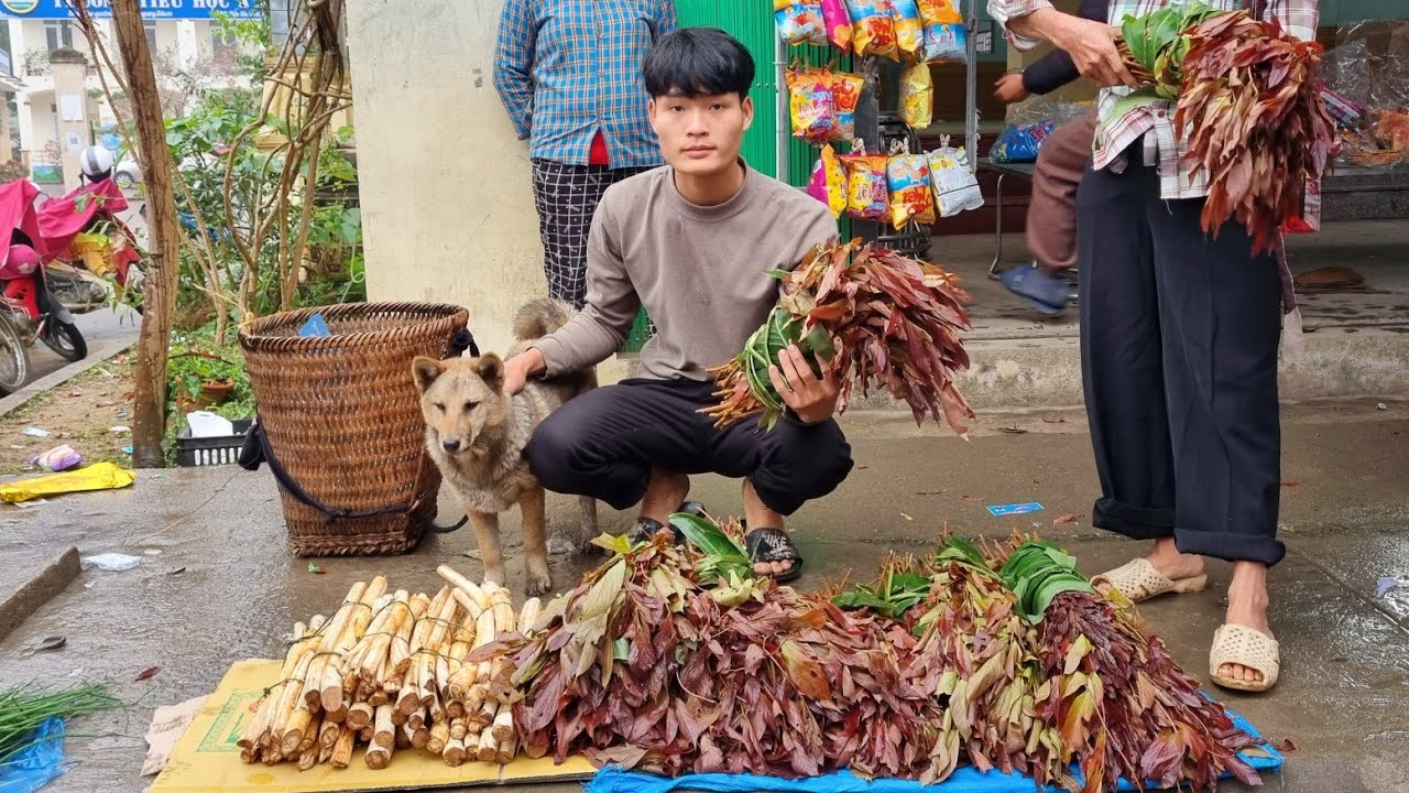 Harvest the core of the tree, vegetable, go to market to sell, my daily life