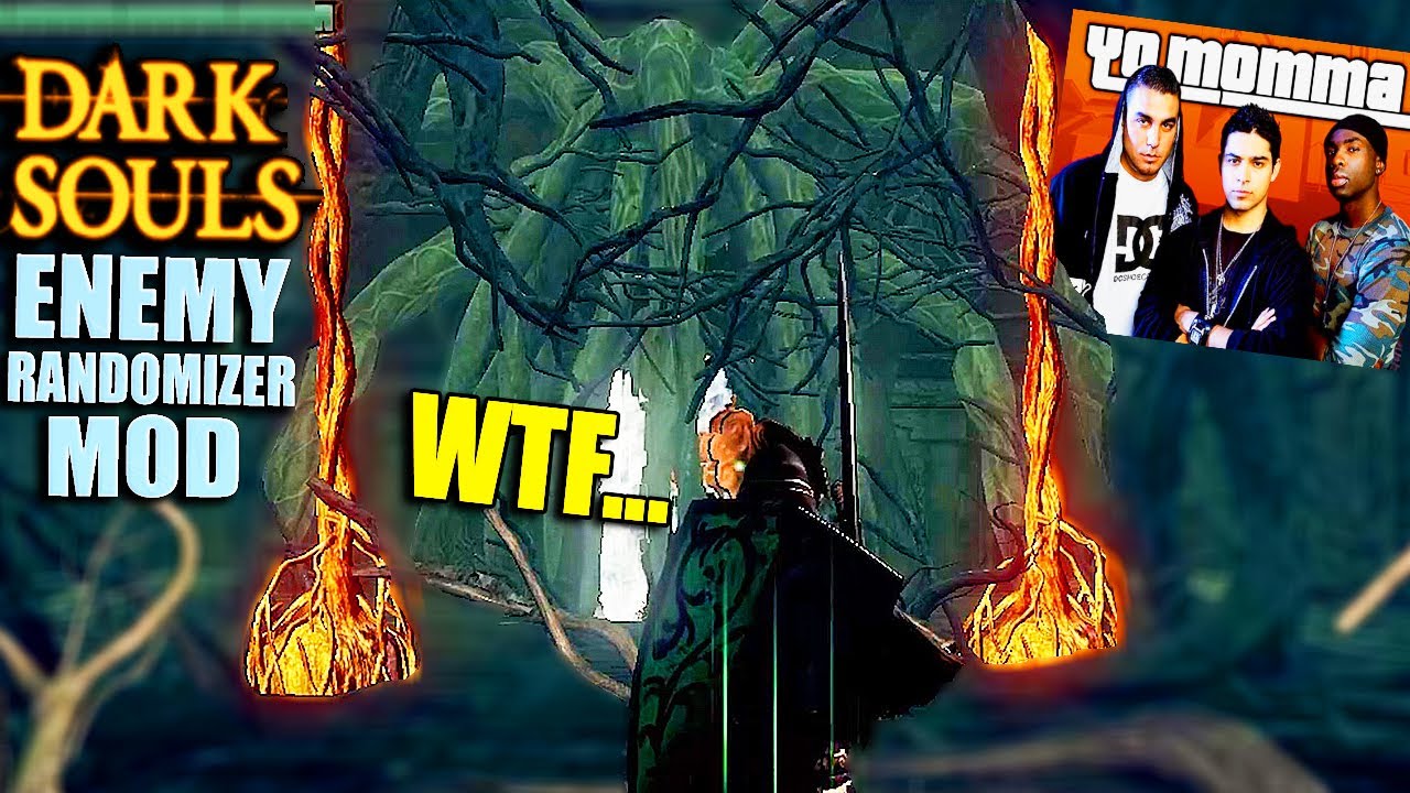 I Didn't Even Know This Was Possible In The Dark Souls Randomizer!