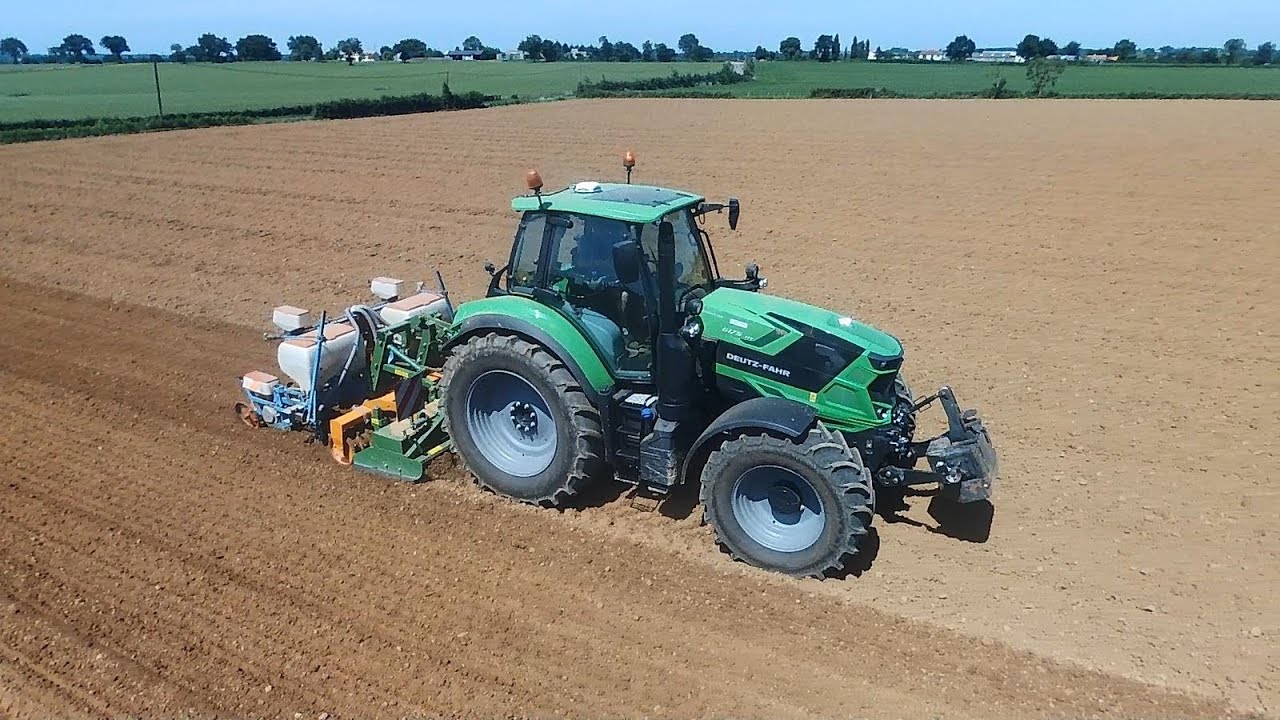 Semis de maïs