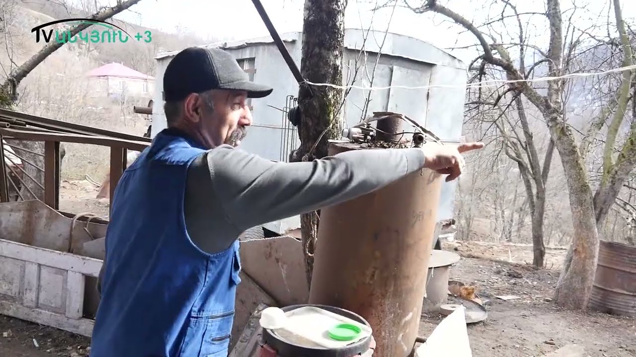 Կովի ծննդաբերելը տեսախցիկով
