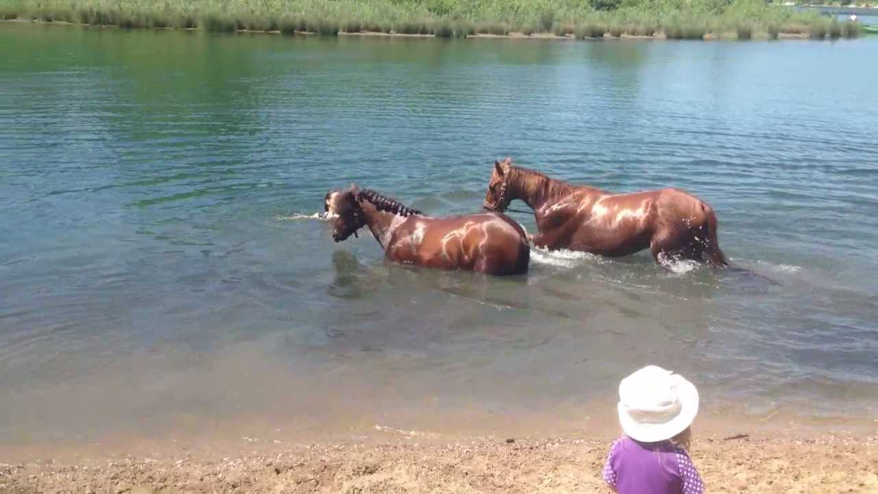 Mit Pferden Baden