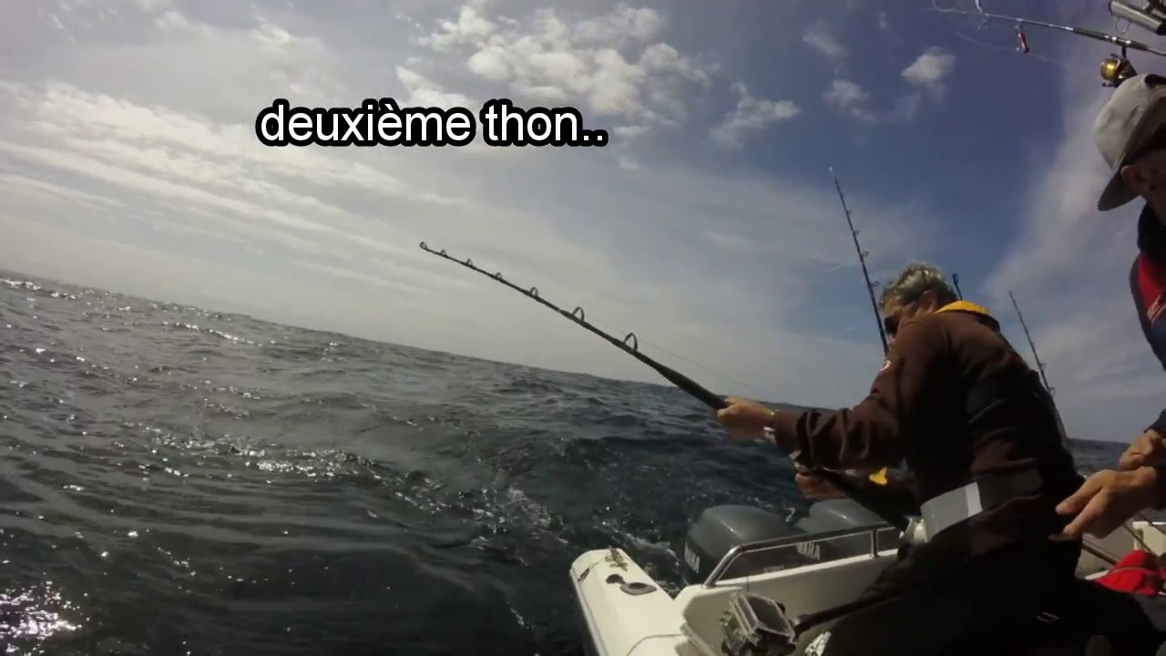 pêche du thon blanc en atlantique