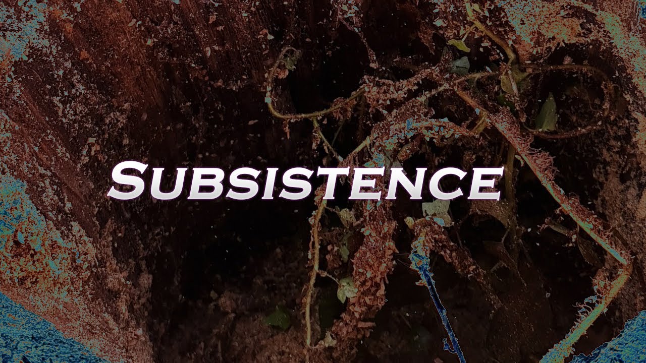 Susbsistence