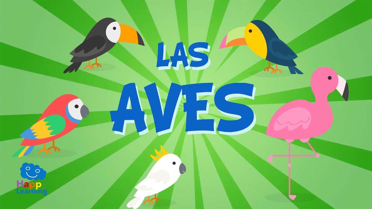 LAS AVES | Vídeos Educativos para Niños