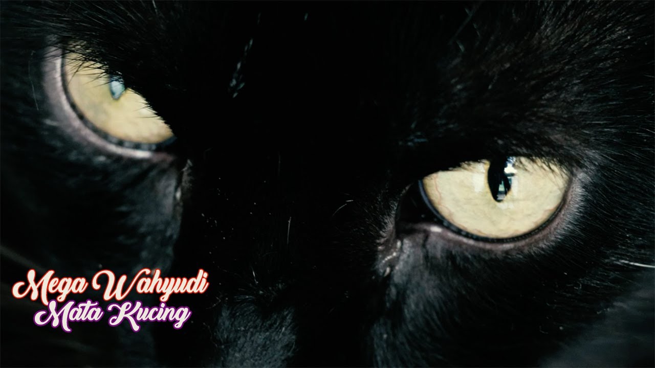 MEGA WAHYUDI - MATA KUCING (LYRIC VIDEO)