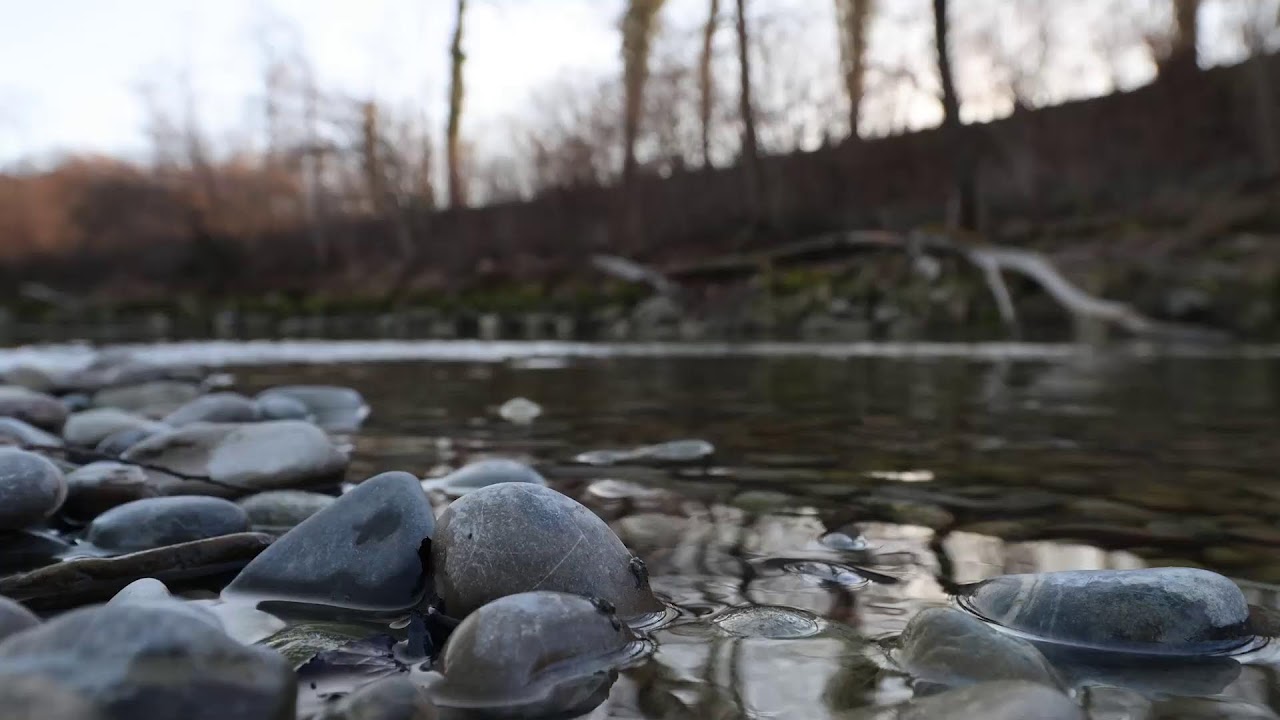 Soothing River Sounds - 12 Hour of Perfect Nature Sounds for Relaxation and Sleep