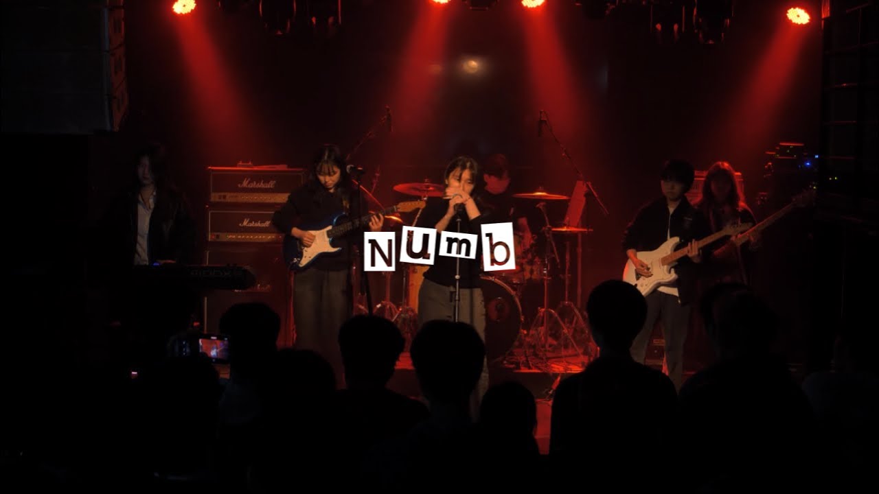 MOLARS X 회상 - Numb (2026 경희대 치대 약대 연합공연)