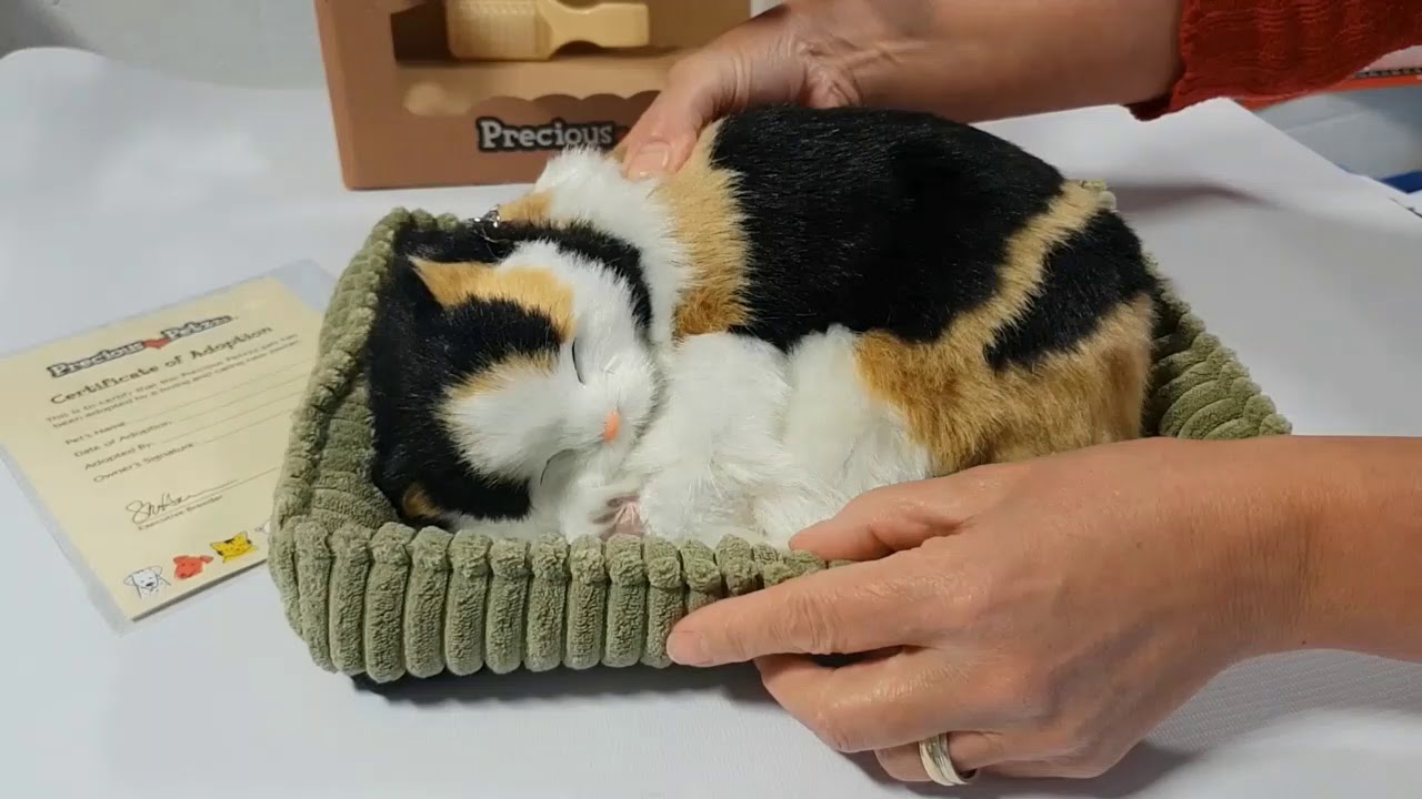 Perfect Petzzz Unboxing & Demo – Realistic Pet Companion for Elderly & Dementia Care