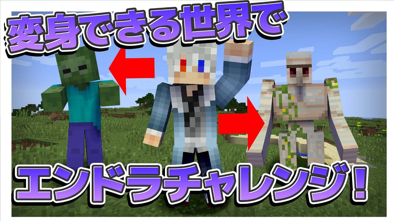[マインクラフト]変身MODを駆使してエンダードラゴンを倒せ！！[どぬく][からぴち]