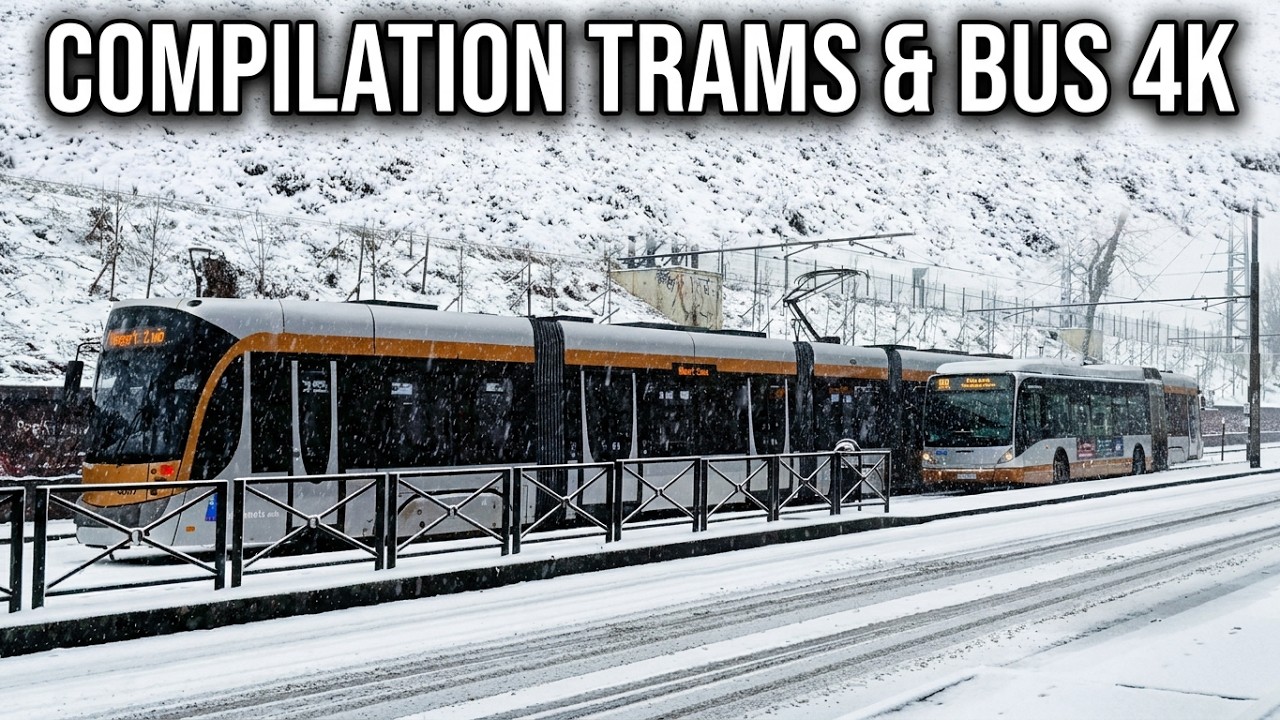 Compilation Trams & Bus 4K