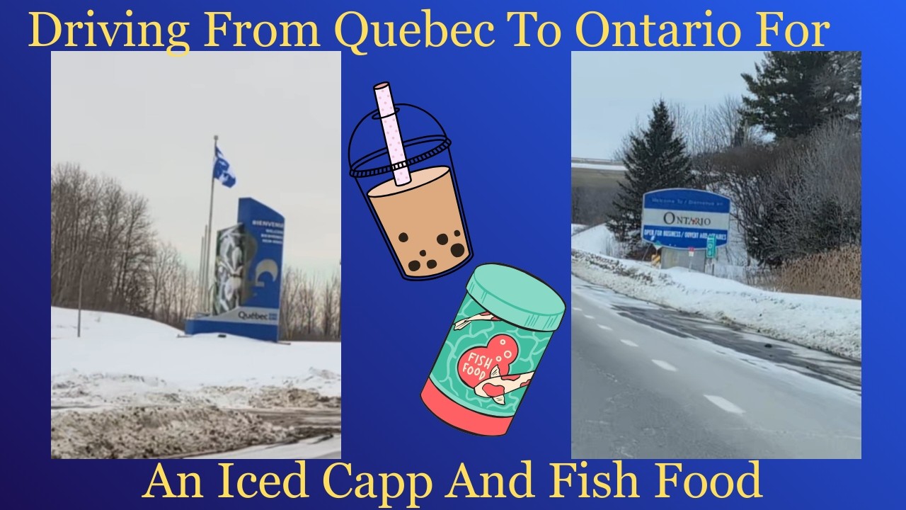 Driving From Quebec To Ontario For An Iced Capp And Fish Food