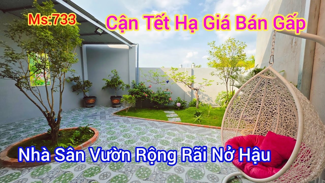 Cơ Hội Vàng Cho Cả Nhà Mua Được Căn Nhà Sân Vườn Nở Hậu Giá Rẻ | Nhà Đất Tây Ninh