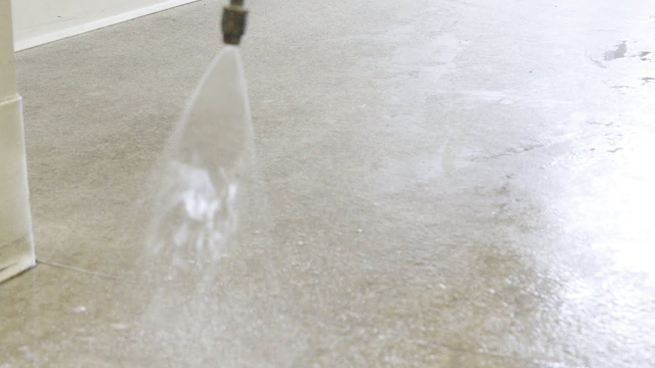 Vet Clinic Floor Clean